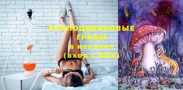 эйфоретик Алзамай