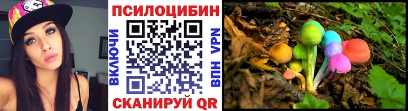 купить  цена  Нарткала  Псилоцибиновые грибы Magic Shrooms 