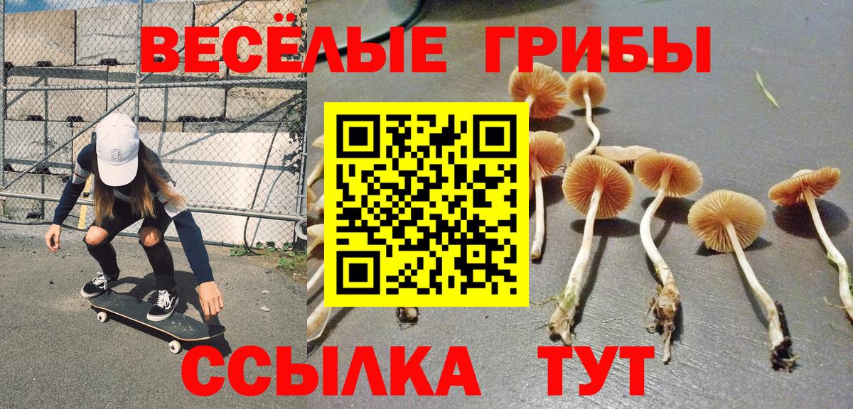 Нарткала  Галлюциногенные грибы GOLDEN TEACHER  дарнет шоп  Вход с VPN  Галлюциногенные грибы Psilocybe 