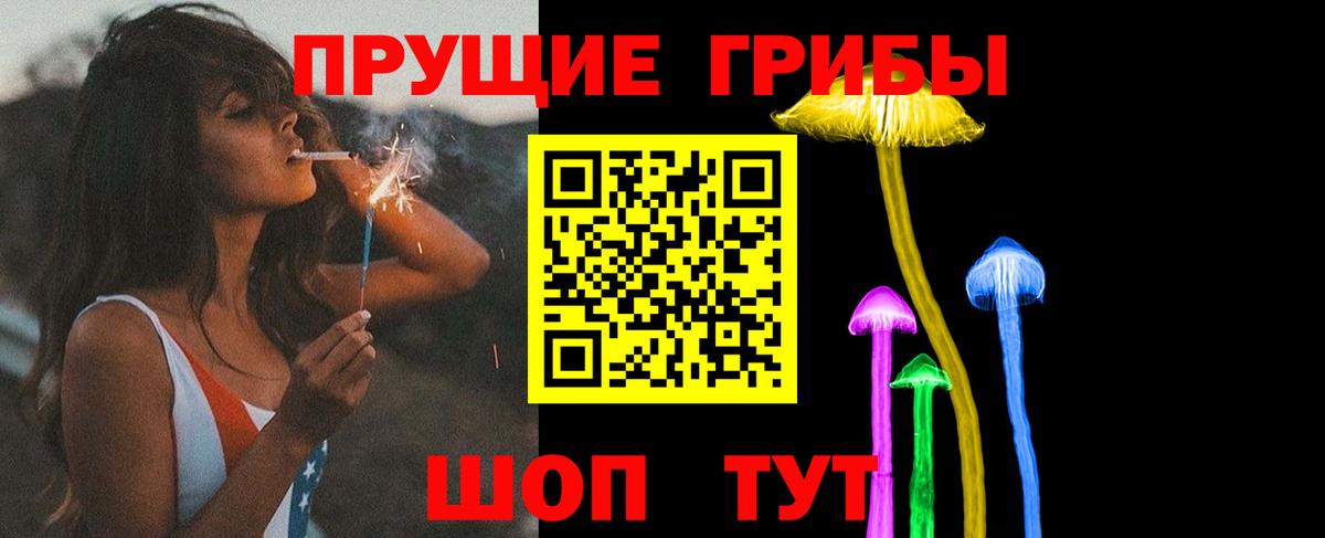 Псилоцибиновые грибы прущие грибы Нарткала